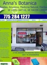 Imagen 13